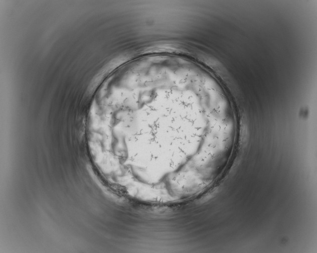X0000112721233200909171057