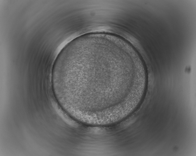 X0000112721234200909171057