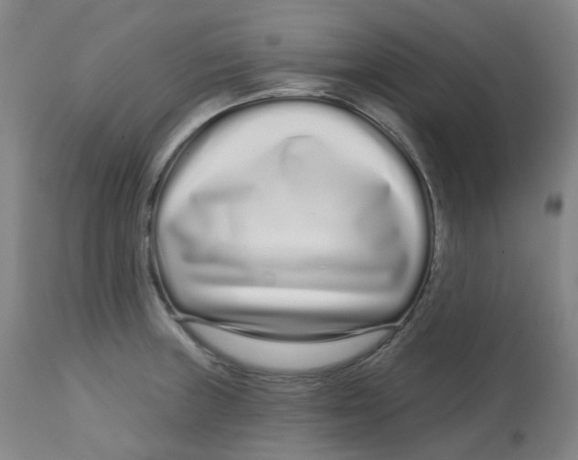 X0000112721235200909171057