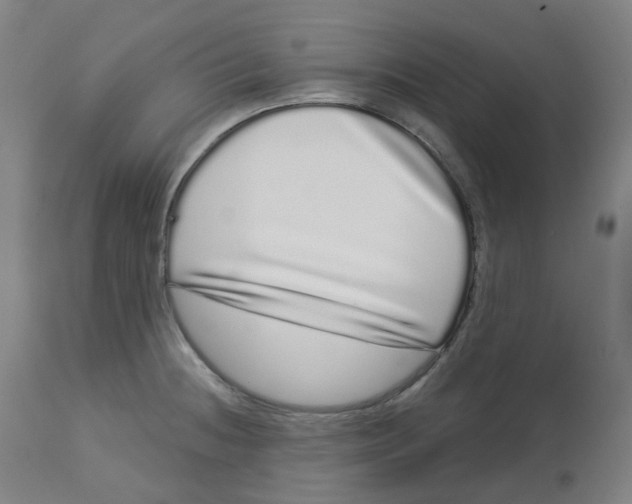 X0000112721236200909171057