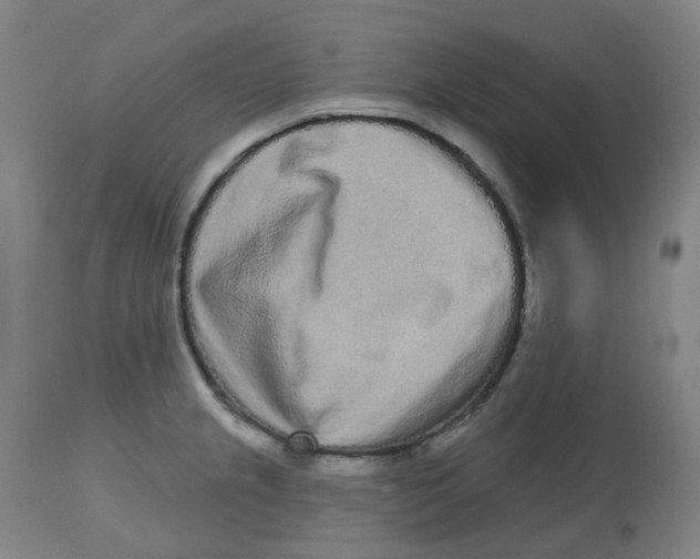 X0000112721237200909171057