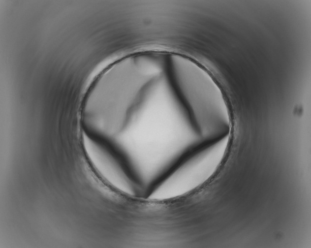 X0000112721238200909171057