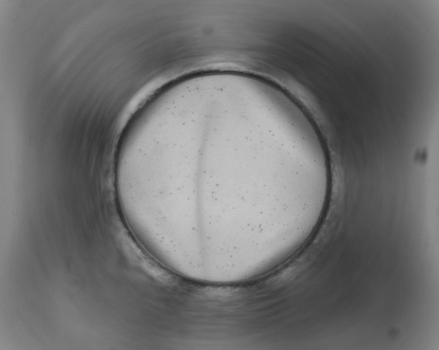 X0000112721240200909171057