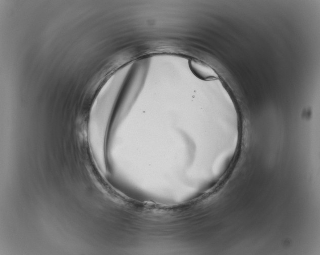 X0000112721241200909171057