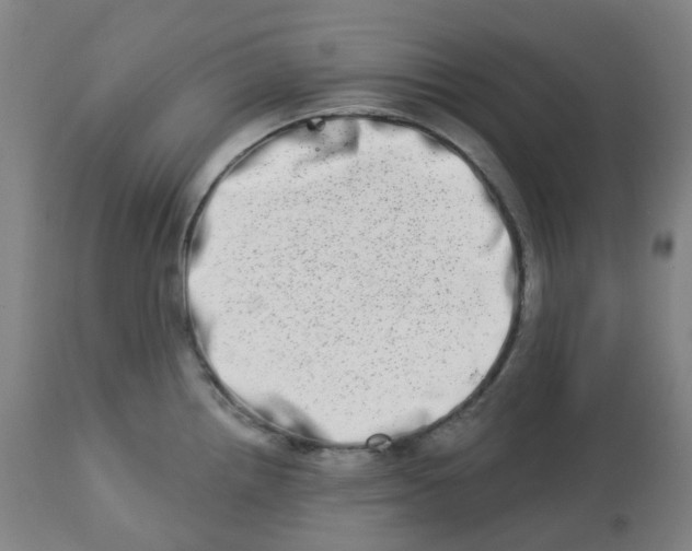 X0000112721242200909171057