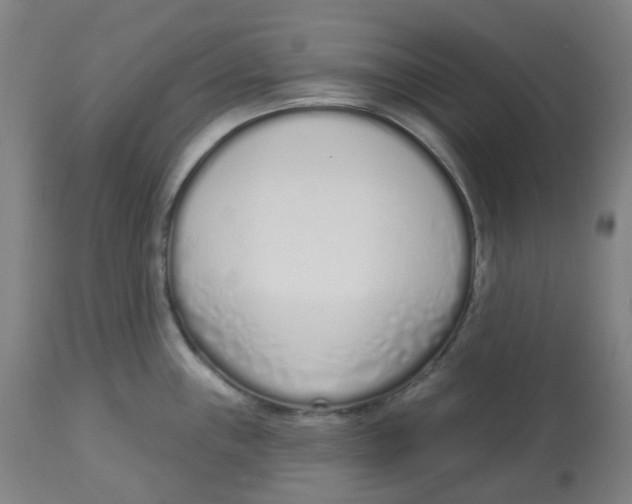 X0000112721243200909171057