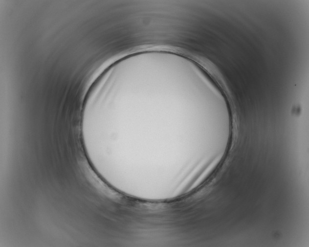 X0000112721244200909171057