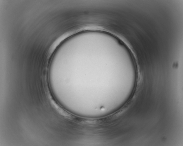 X0000112721245200909171057