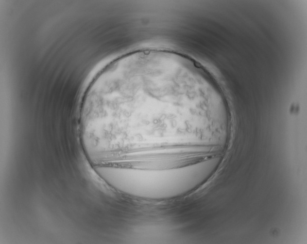 X0000112721248200909171057