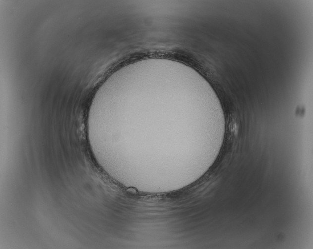 X0000112721252200909171056