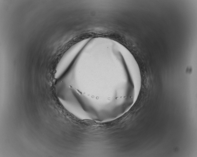 X0000112721253200909171056