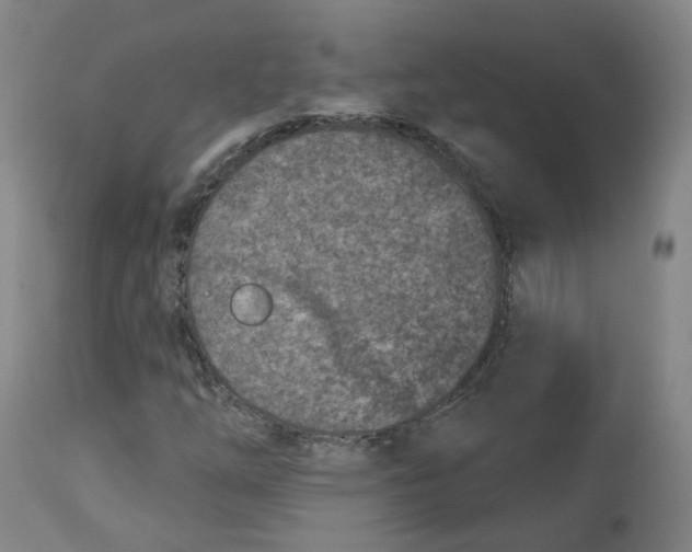 X0000112721254200909171056