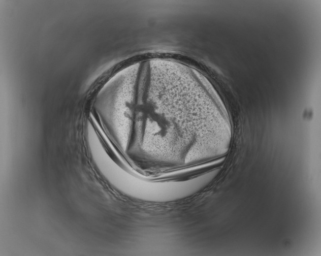 X0000112721255200909171056