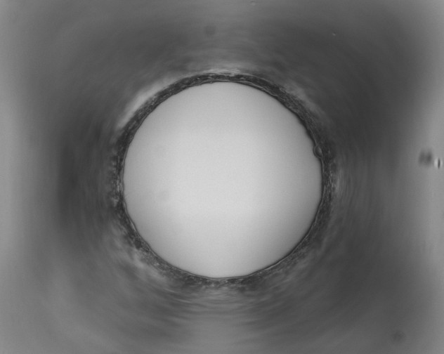 X0000112721256200909171056