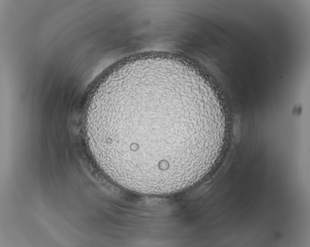 X0000112721258200909171056