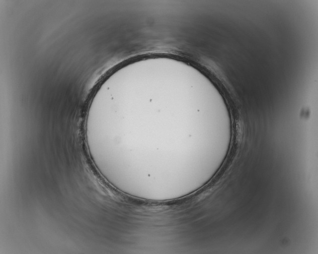 X0000112721260200909171056