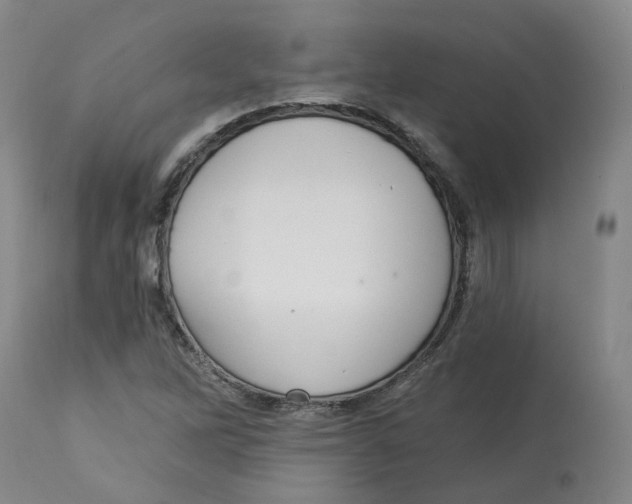 X0000112721262200909171056