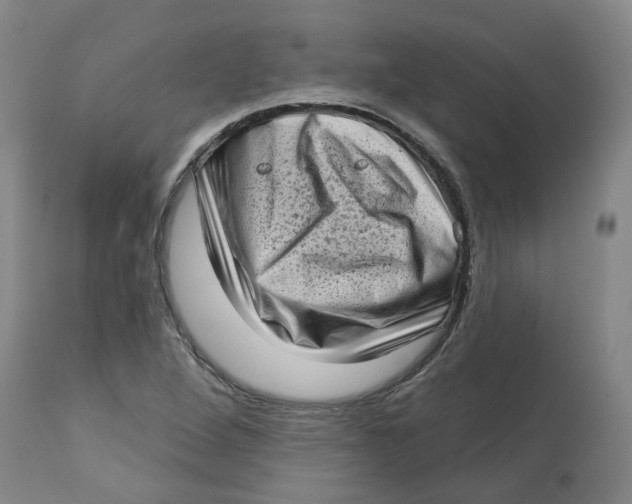 X0000112721264200909171056