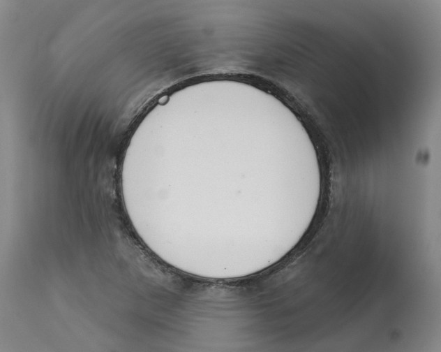 X0000112721265200909171056