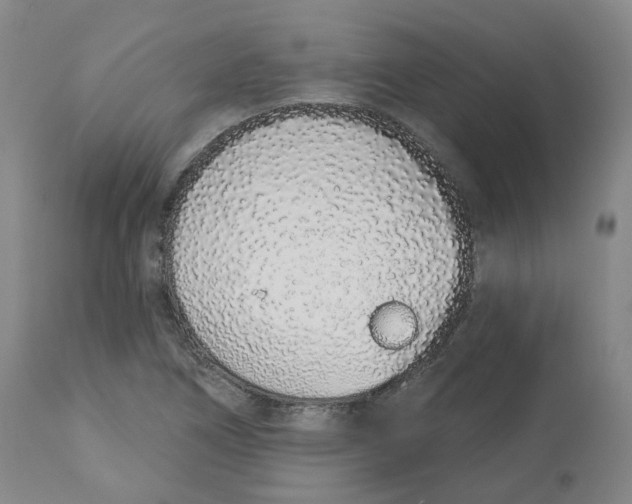 X0000112721266200909171056