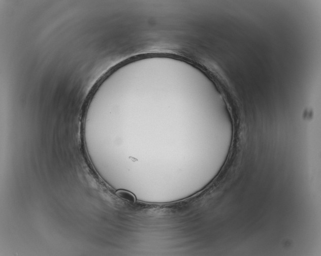 X0000112721268200909171056