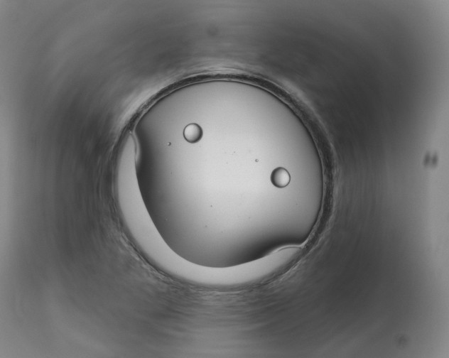 X0000112721269200909171056