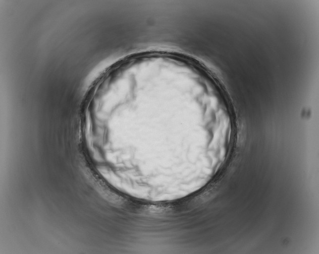 X0000112721271200909171056