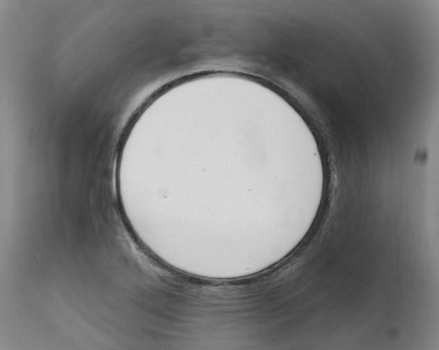 X0000112721272200909171056