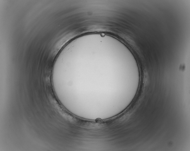 X0000112721273200909171056