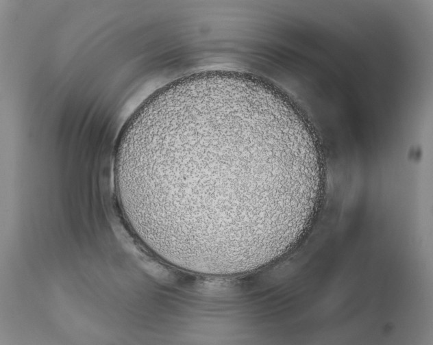 X0000112721274200909171056