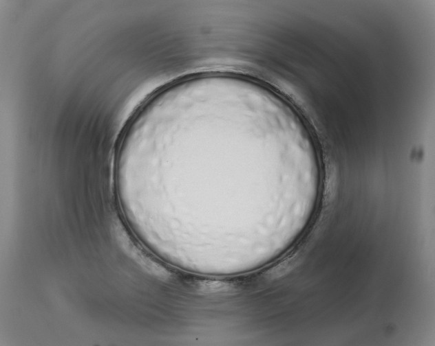 X0000112721275200909171056