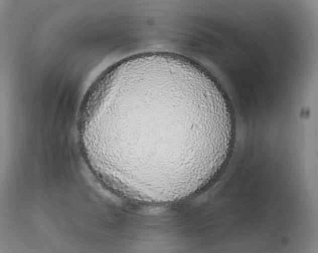 X0000112721278200909171056