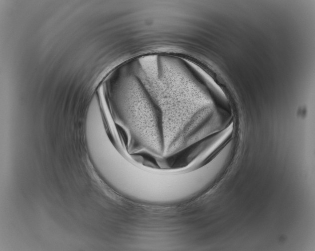 X0000112721281200909171056