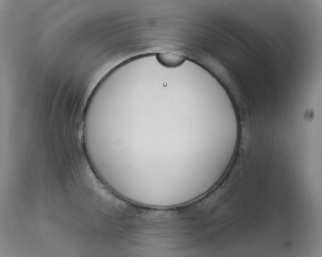 X0000112721284200909171056