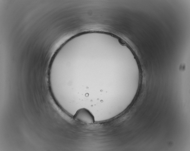 X0000112721285200909171056