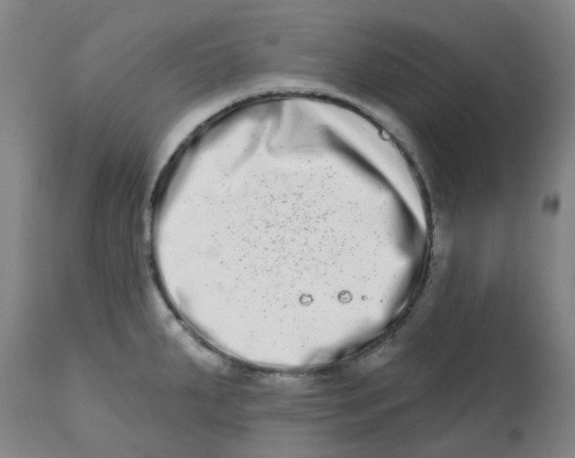 X0000112721287200909171056