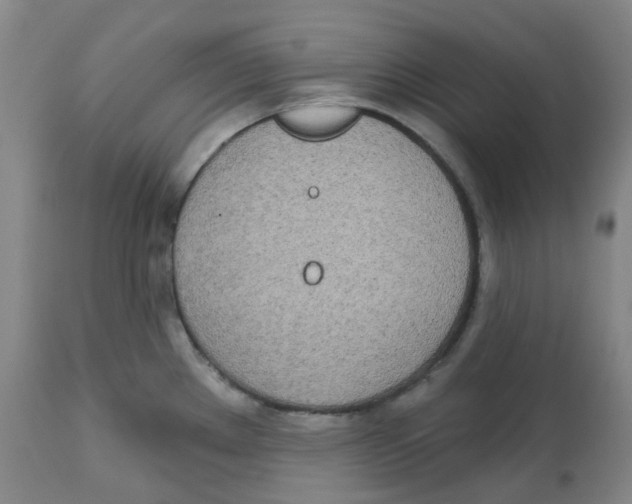 X0000112721289200909171056