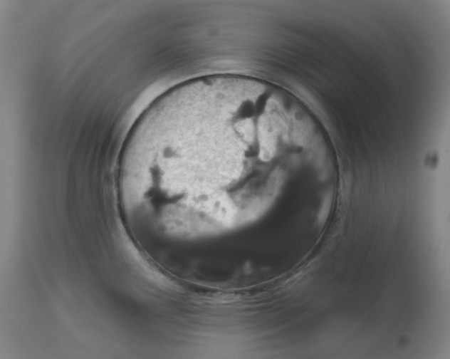 X0000112721291200909171056