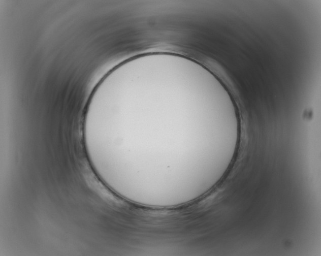 X0000112721292200909171056