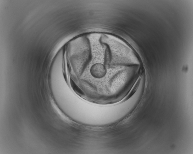 X0000112721293200909171056