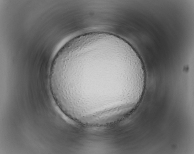 X0000112721294200909171056