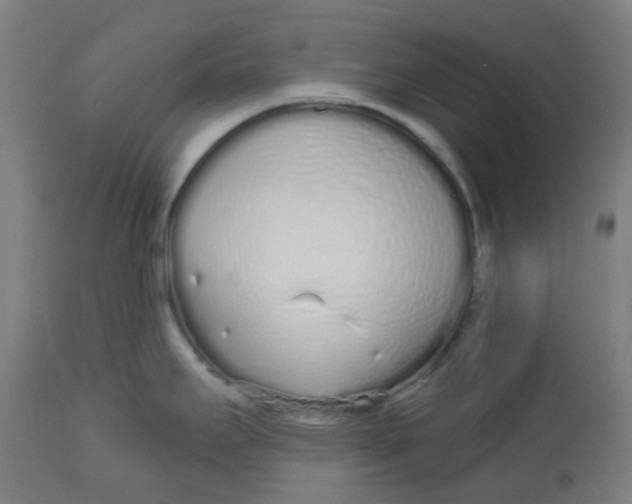 X0000112721295200909171056