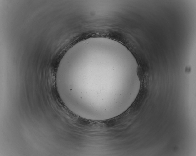 X0000112721298200909171055