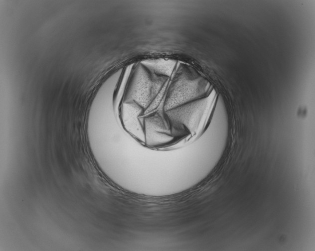 X0000112721300200909171055