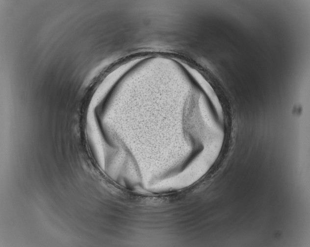 X0000112721307200909171055