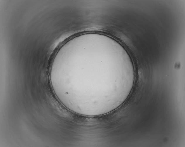 X0000112721308200909171055