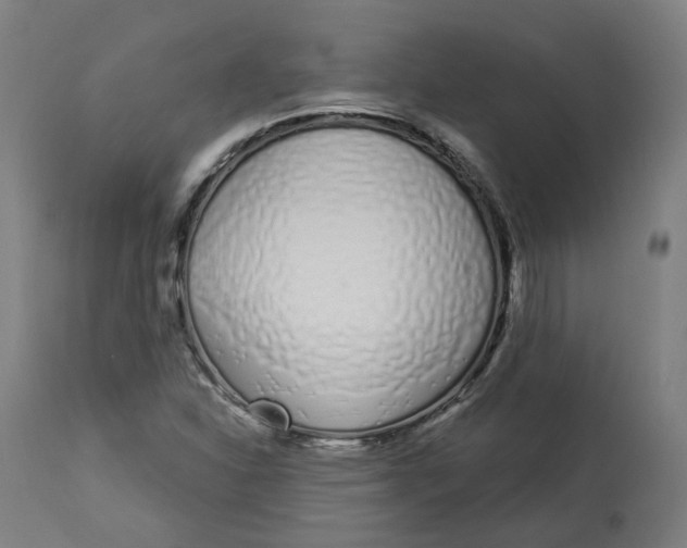 X0000112721310200909171055