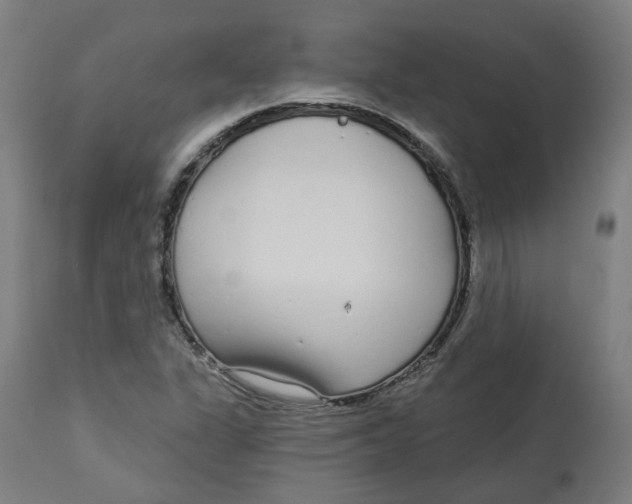 X0000112721311200909171055