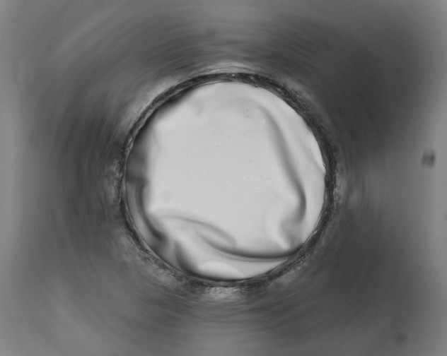 X0000112721313200909171055