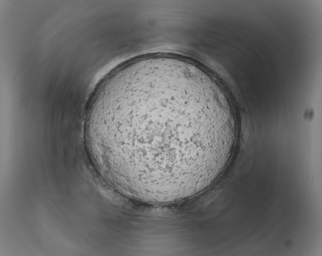 X0000112721316200909171055